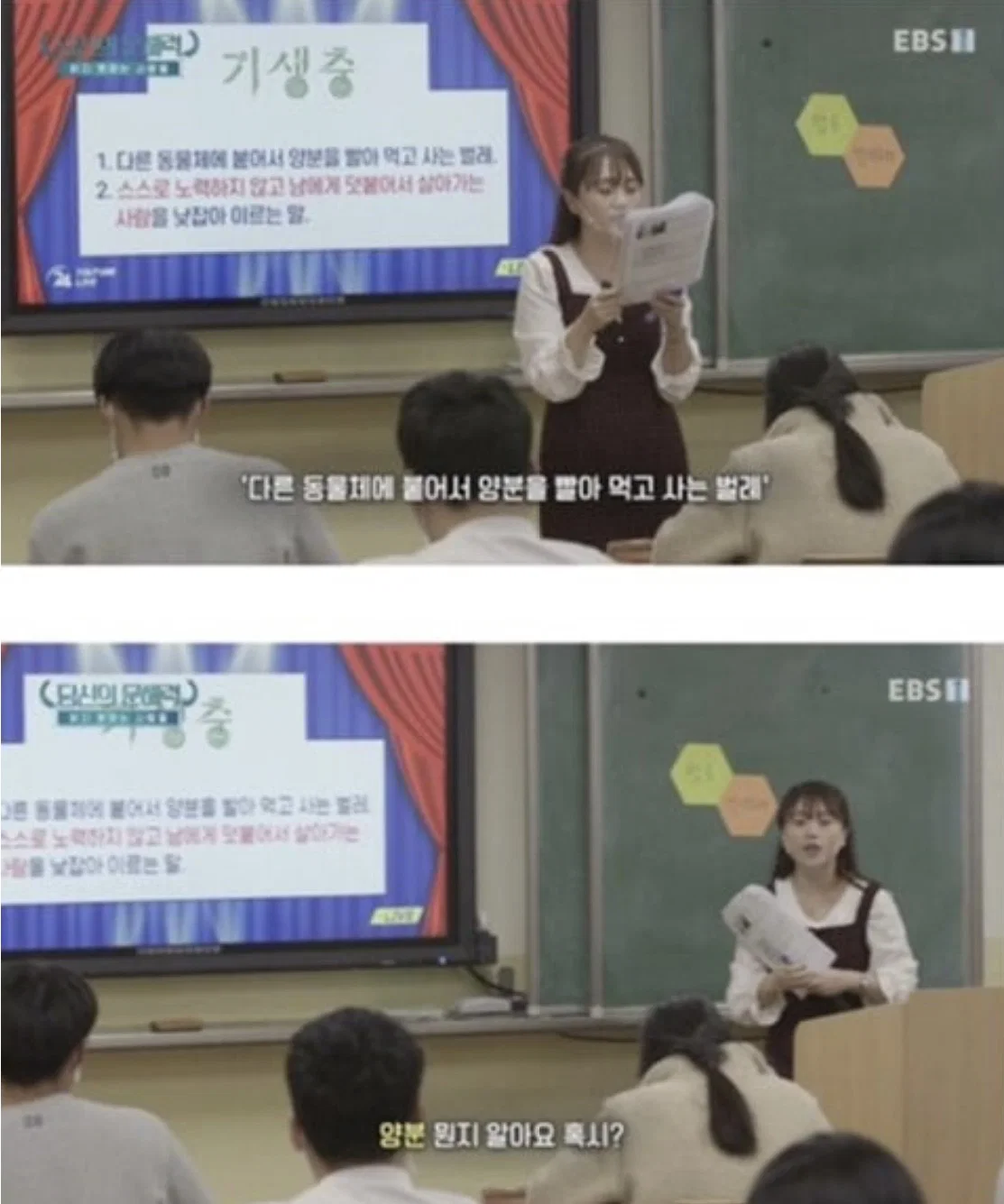 요즘 사람들의 심각한 문해력 수준; + 유퀴즈추가 (23)