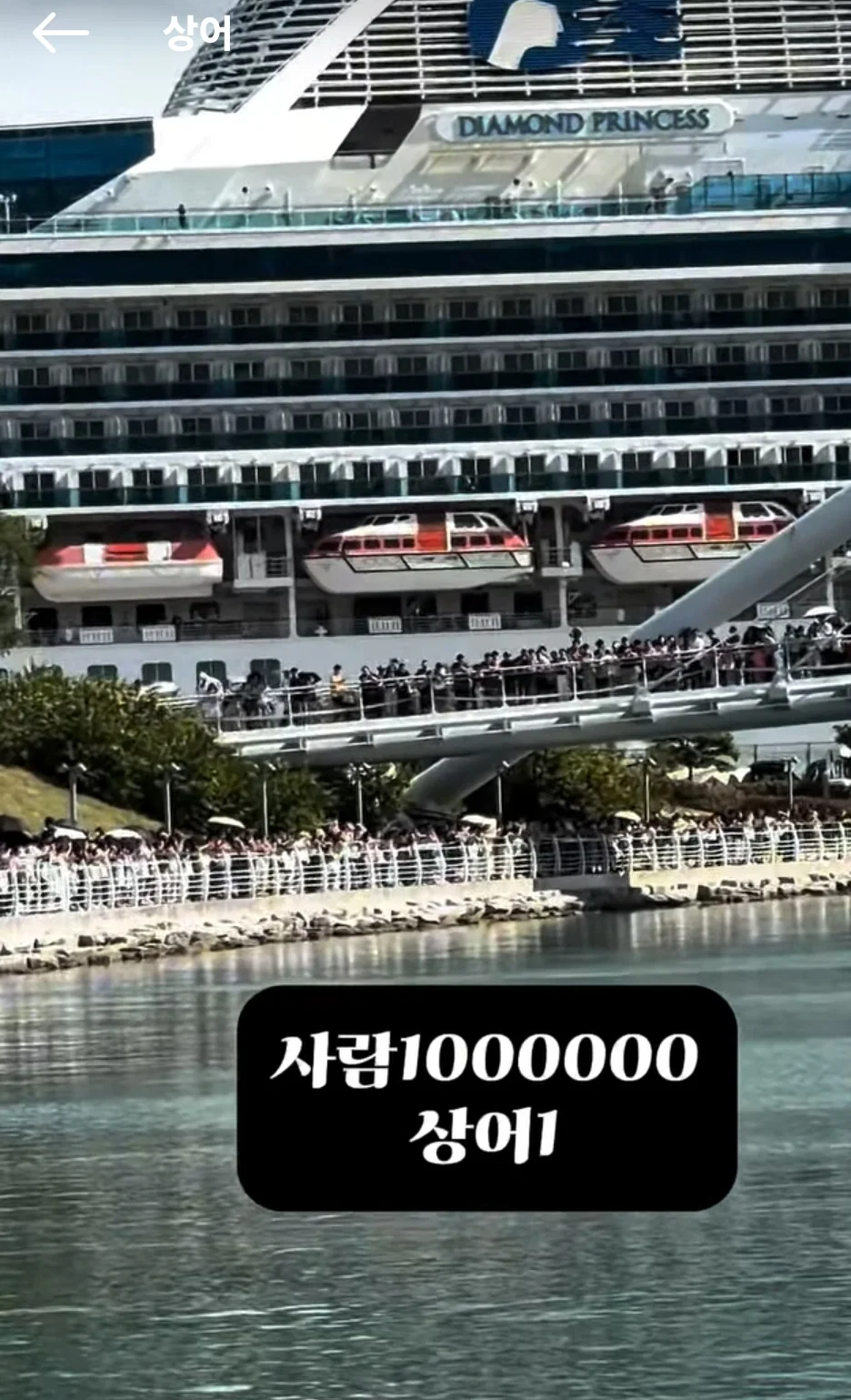 현 시각 부산에서 가장 핫한 곳이라는 부산항 (5)