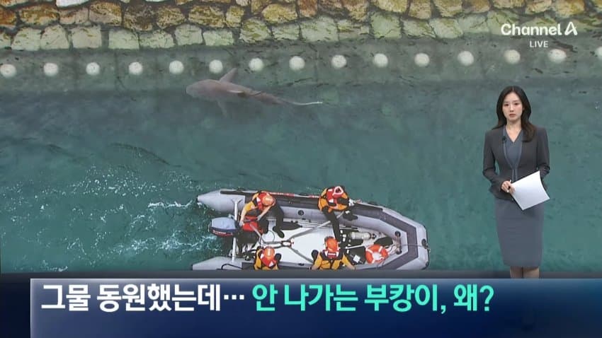 상어 부캉이 구조작업 또 실패…바다 앞서 멈췄다 (18)
