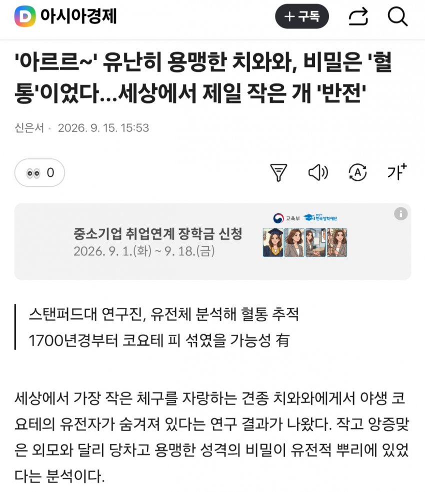 경악충격 치와와는 개가 아니었다?!
