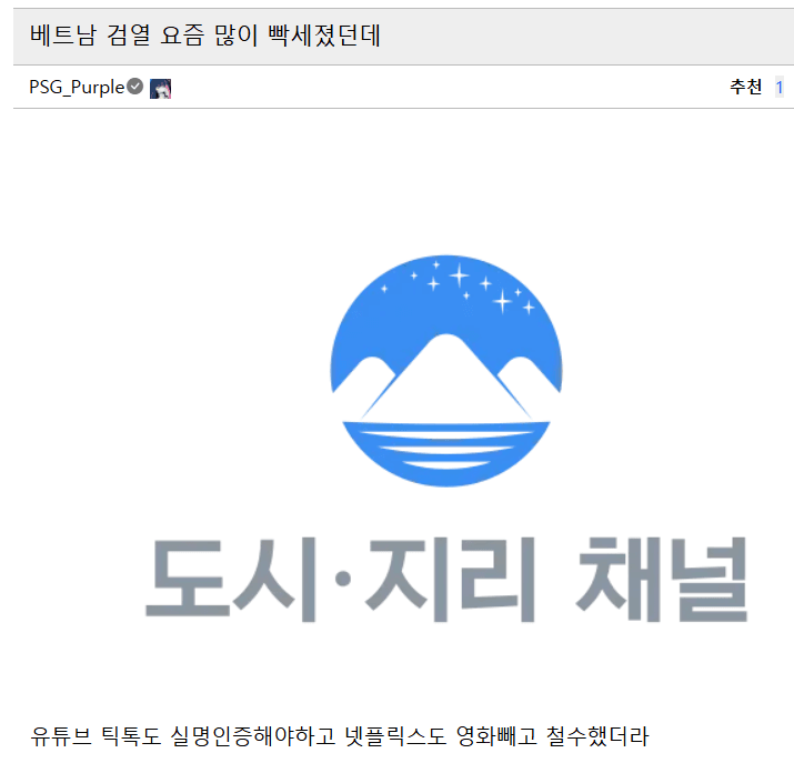 와들와들 베트남이 생각보다 더 막장국가인 이유 (11)