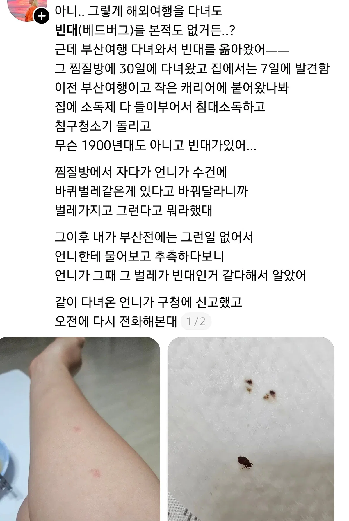 부산 찜질방 빈대 이슈 업로드한 유튜버 다흑... (37)