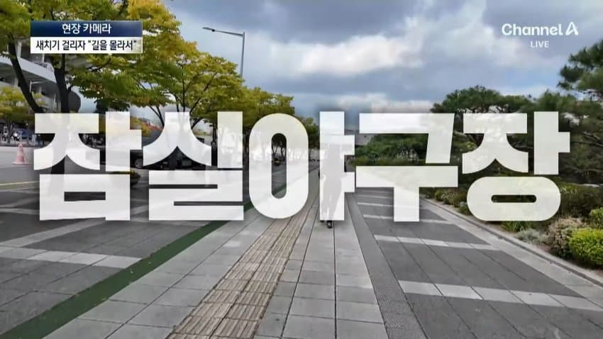 채널a) 차 머리부터 '쑥'..야구장 앞 얌체들 (2)