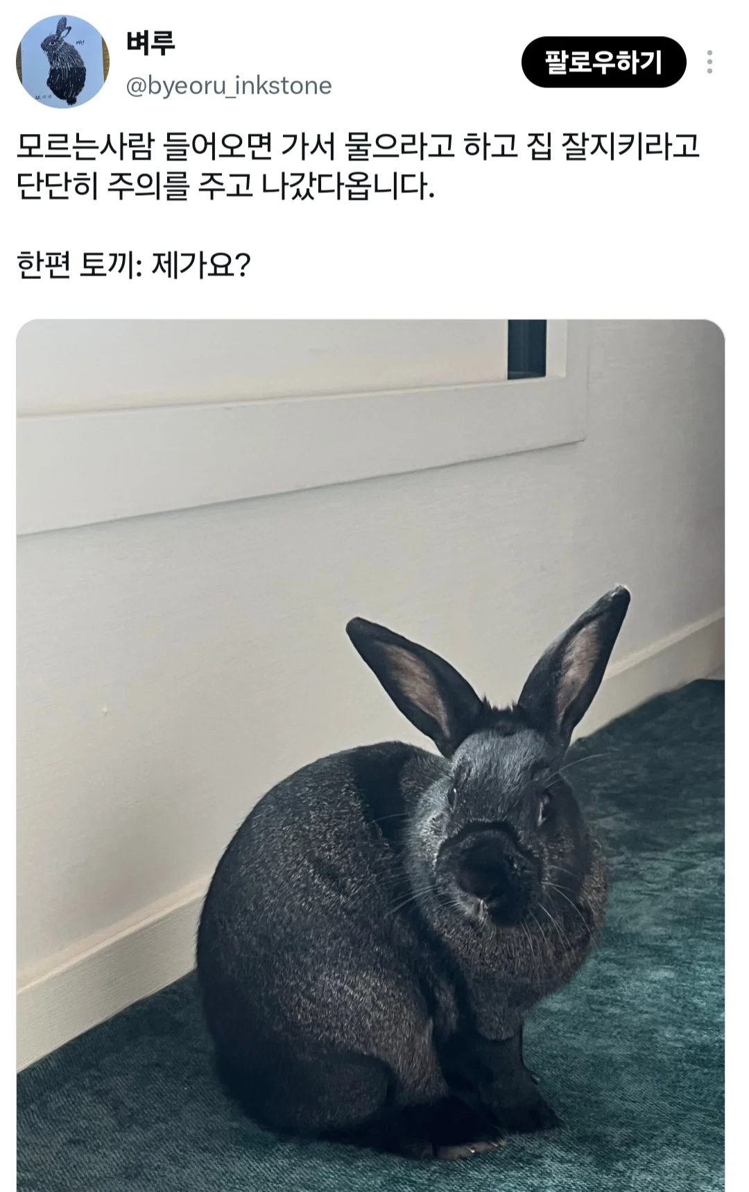 너희도 반려동물한테 나간다고 미리 말해주고 착하게 있으라고 말해???? (6)