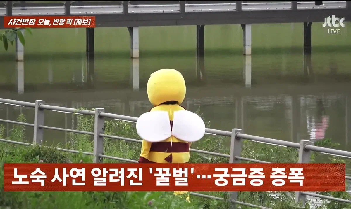 사건반장에 나온 꿀벌 복장 입는 이유 (5)