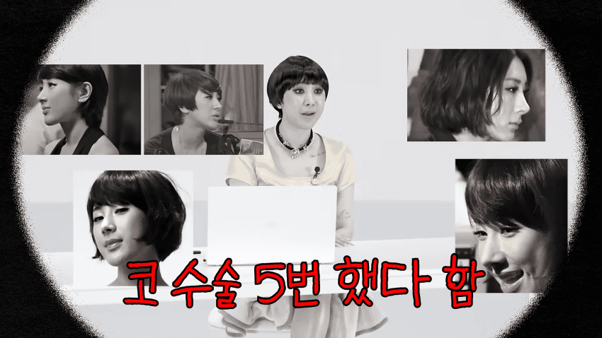 서인영이 말하는 코성형 역사 ㅋㅋㅋㅋㅋ (5)