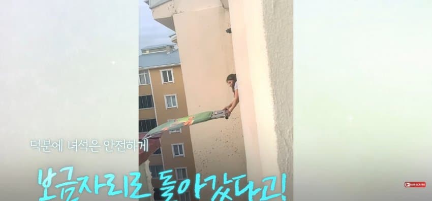 의문의 도구로, 지붕 위 고양이 구한 친구들 (18)