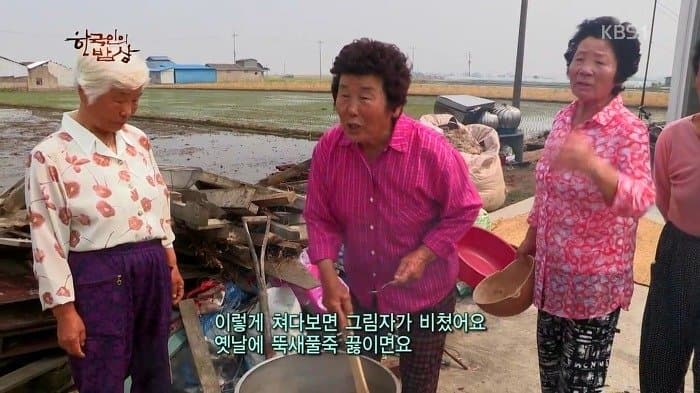 싱글벙글 보릿고개 시절에 먹었다는 잡초풀죽 (22)