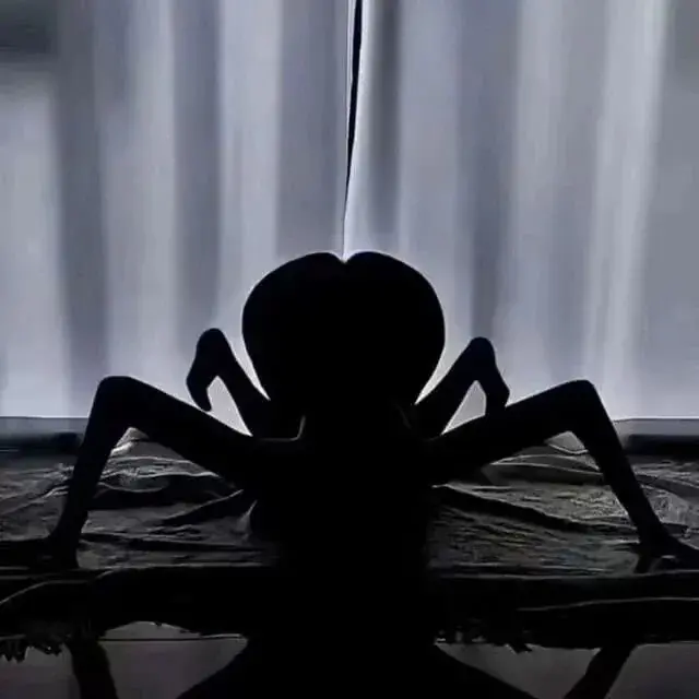 ㅇㅎ?) 어느 유부녀의 남편을 위한 거미귀신 이벤트.
