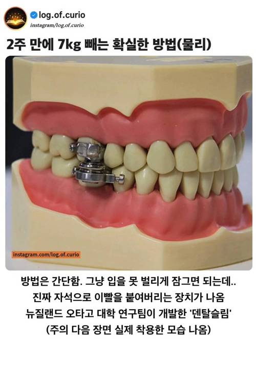 물리적으로 2주 만에 7kg 빼는 확실한 방법