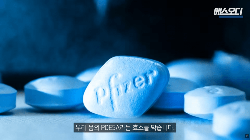 비아그라는 위대했다..역대급 암치료법 등장 (25)