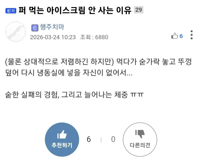 퍼먹는 아이스크림을 안사는 이유