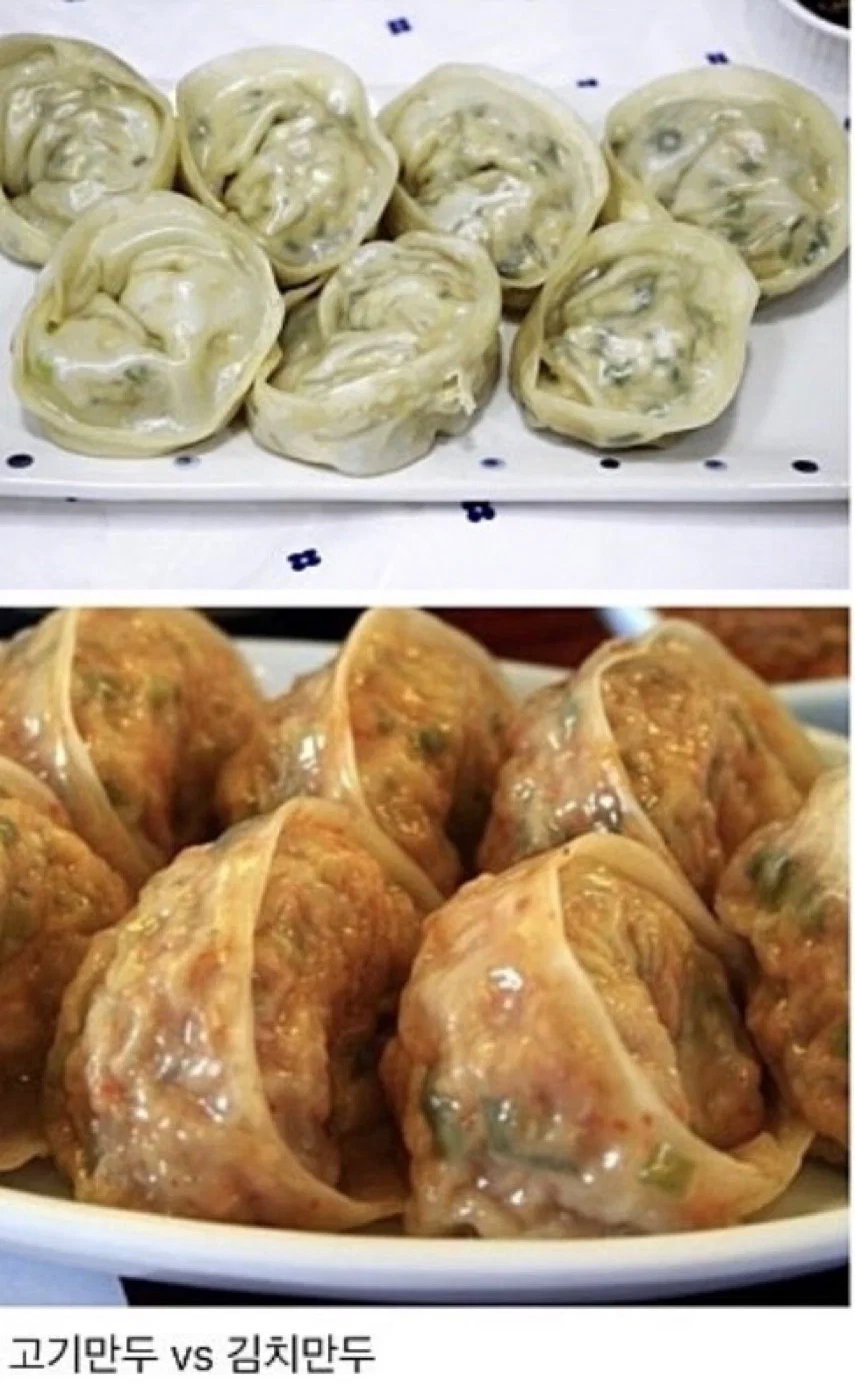 평생 단 하나만 먹어야한다면?! 고기만두 vs 김치만두