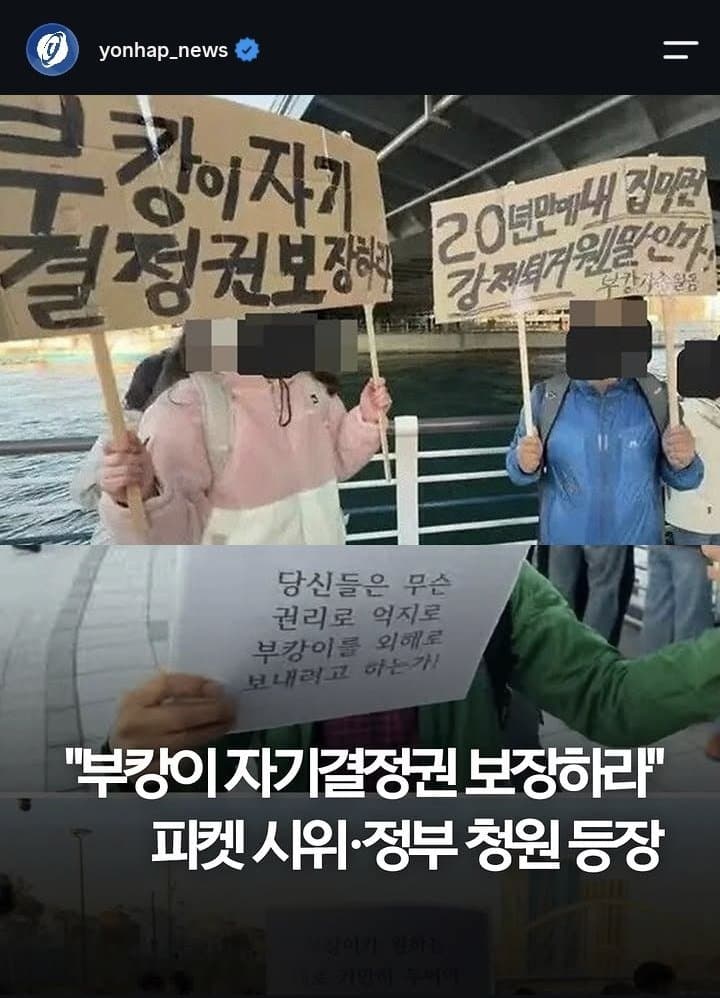부캉이 근황