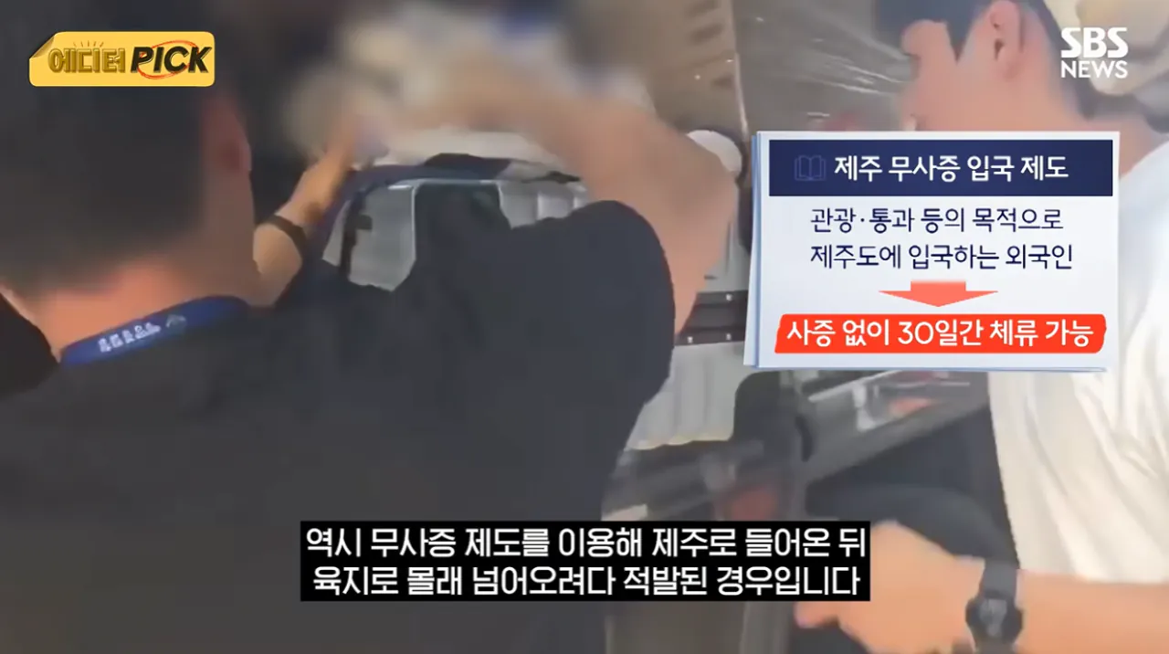제주도 근황 (6)