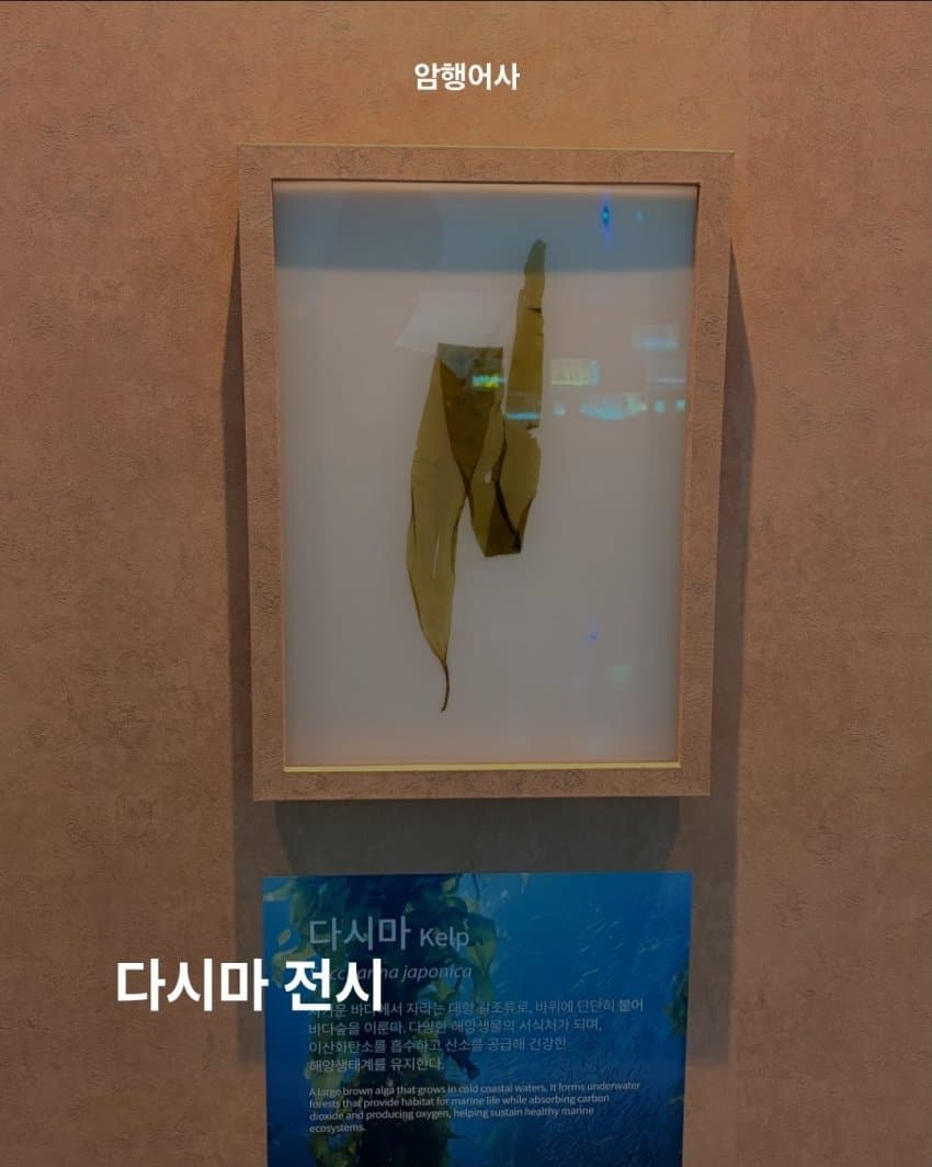 추경 포함 혈세 2008억짜리 여수 섬박람회 컨텐츠를 알아보자 (2)