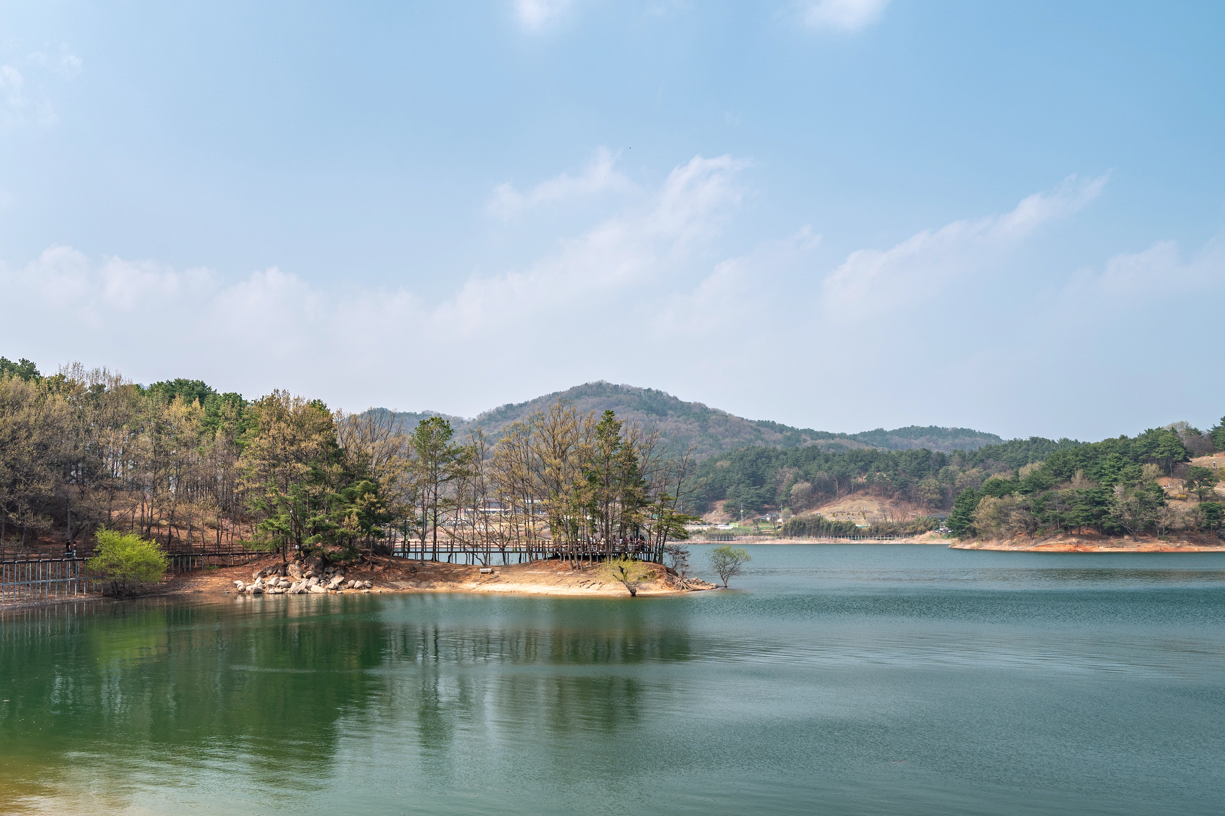 어제는 ‘푸른 하늘의 날’ 이었어 (5)