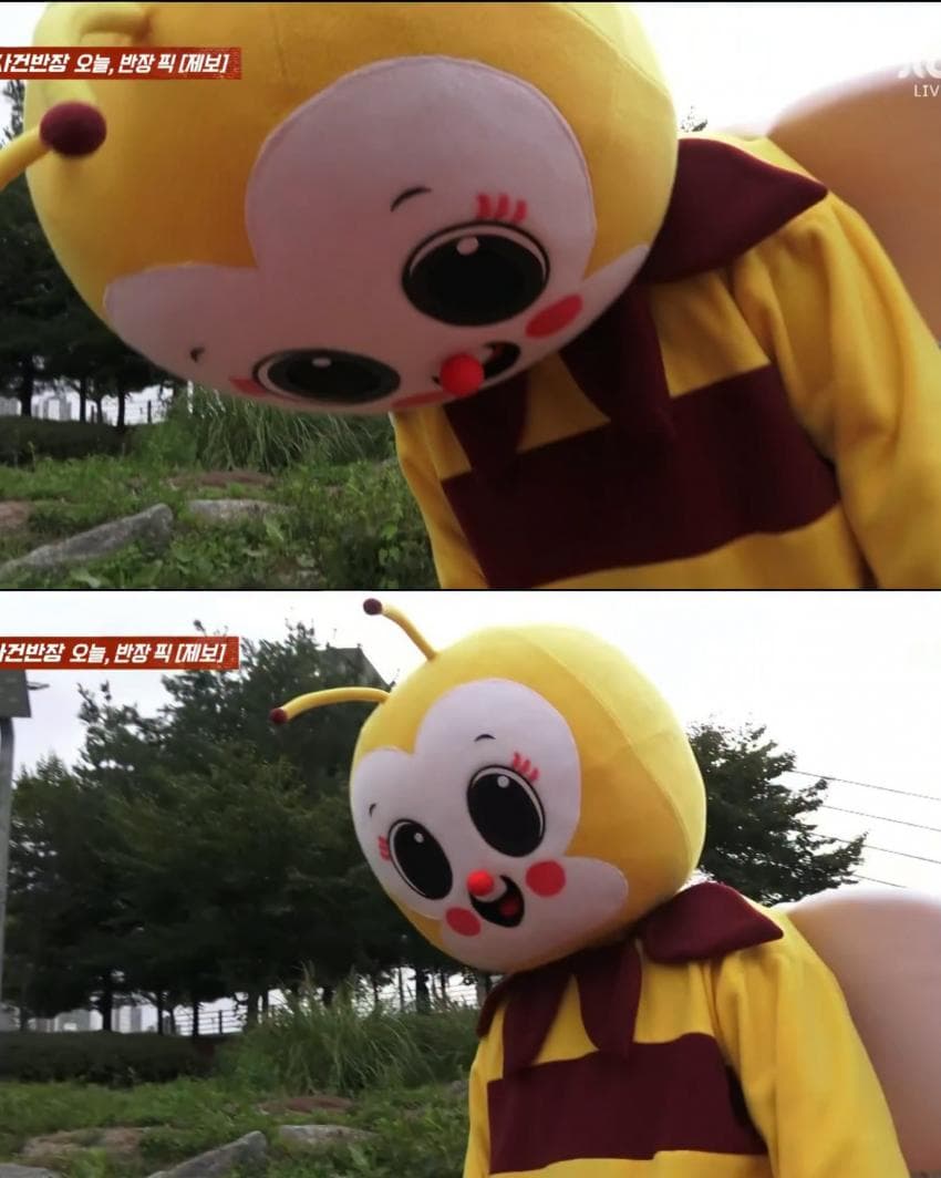 꿀벌 옷 입는 이유 (6)