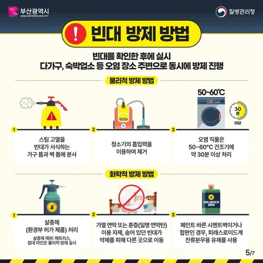오싹오싹 부산 찜질방에 출몰해서 난리난 빈대(베드버그)상황 (49)