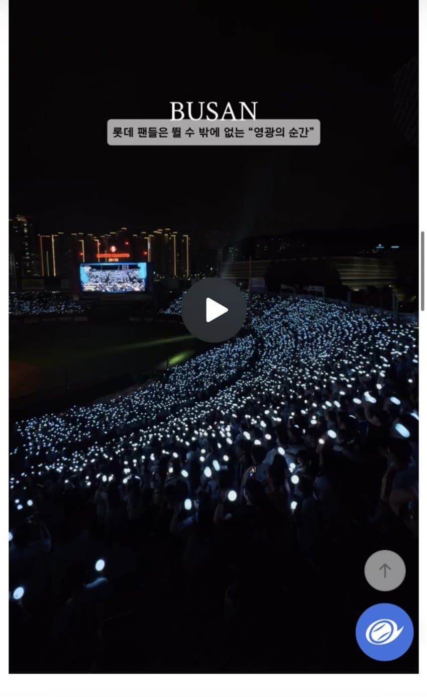부산..정상인들은 이해불가....꼴데..약간 기괴... (6)