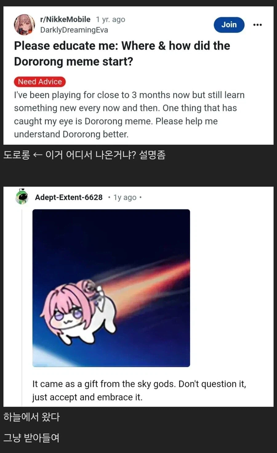 도로롱 밈은 어디서 나온거임?