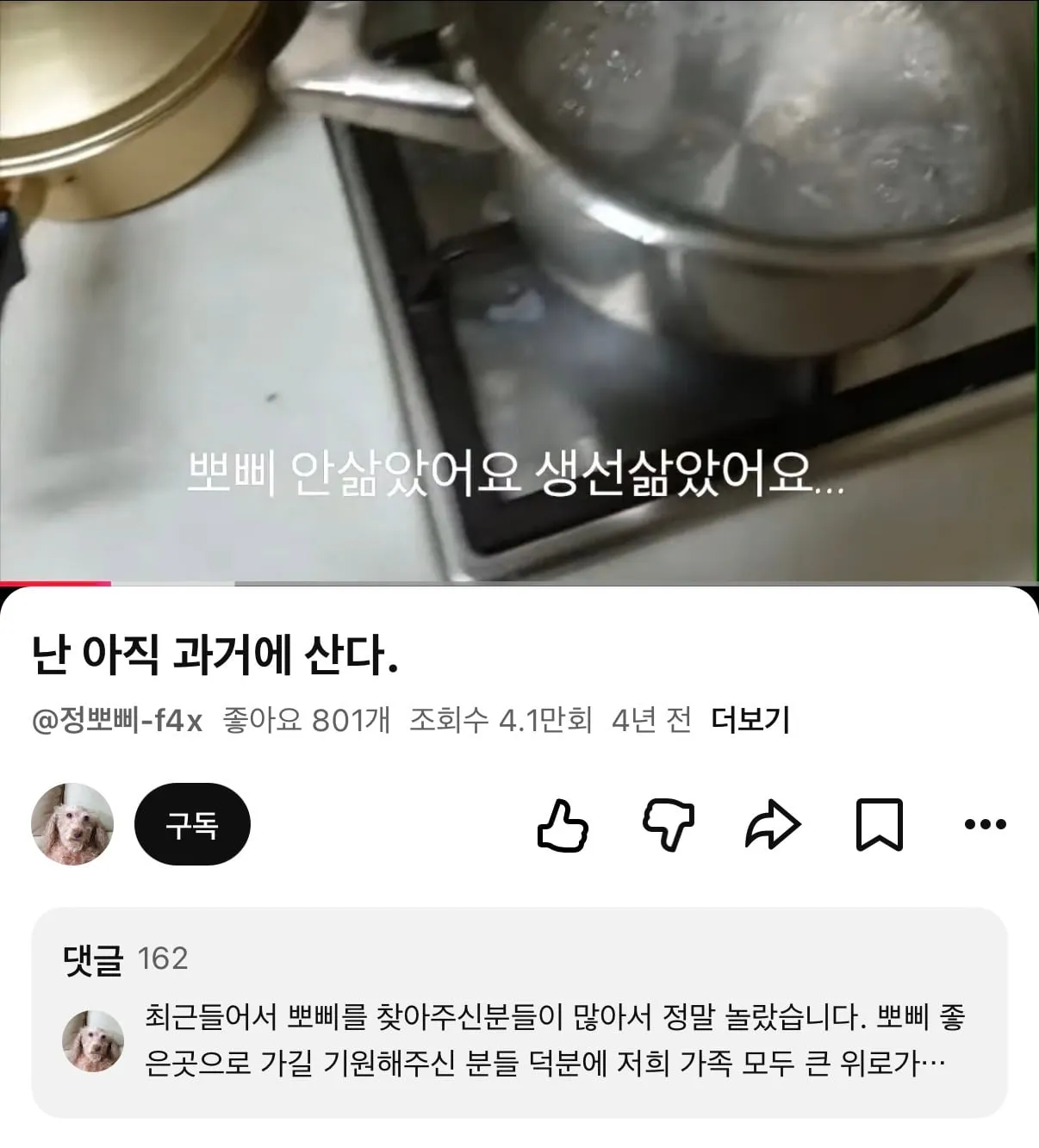 눈에넣어도안아픈우리집뽀삐…jpg