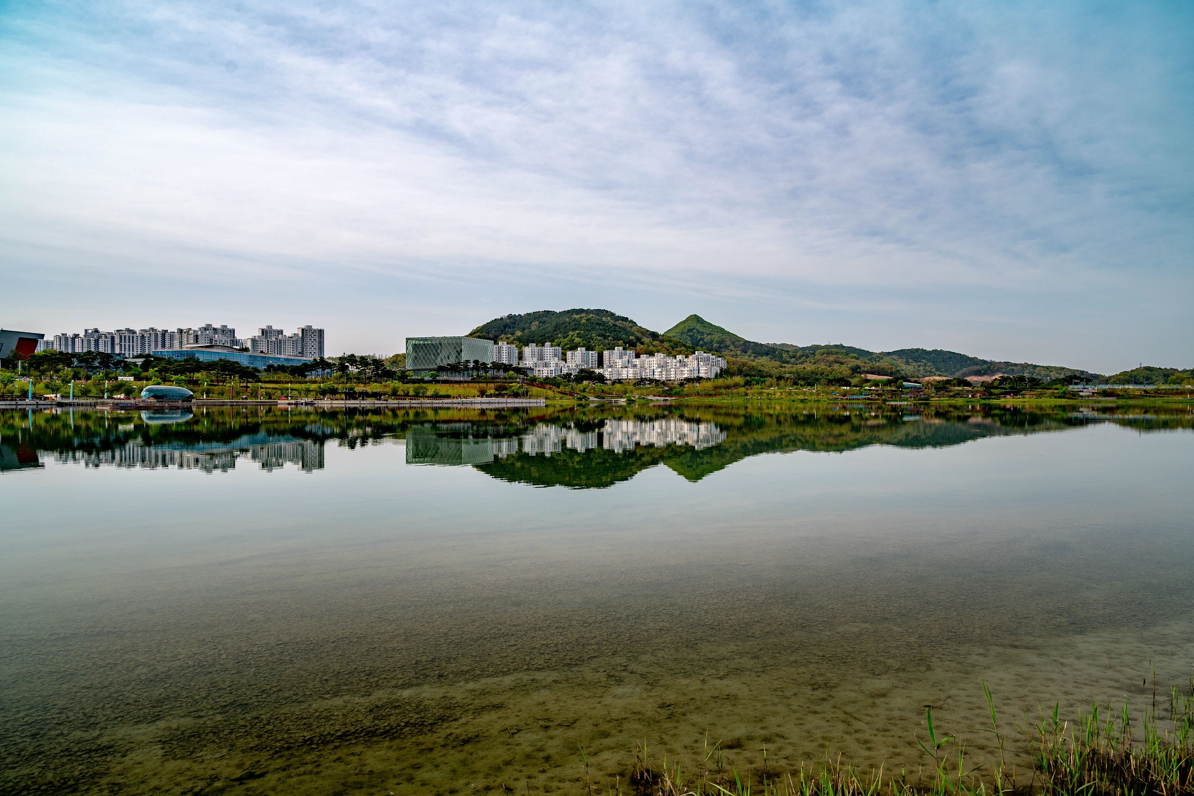어제는 ‘푸른 하늘의 날’ 이었어 (6)
