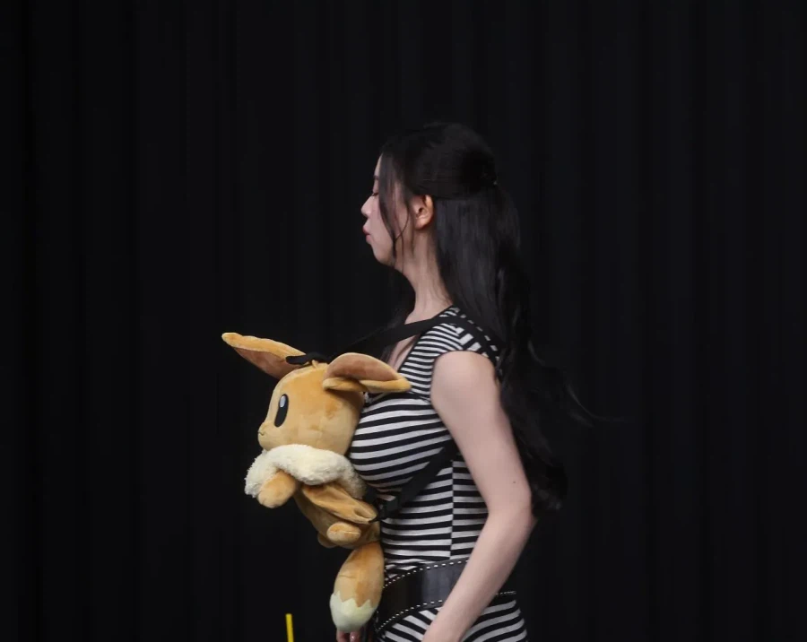 이브이 쿠션 jpg (3)