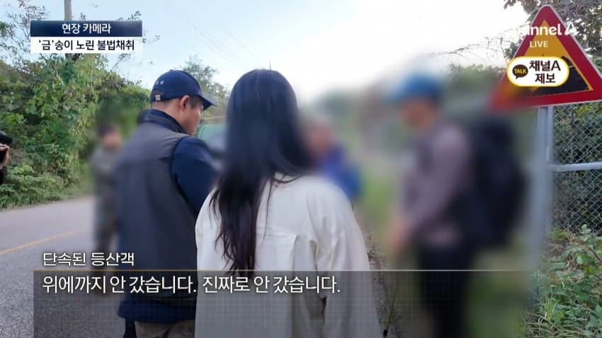 채널a) 송이버섯 1kg에 160만원...밤낮 추격전 (29)