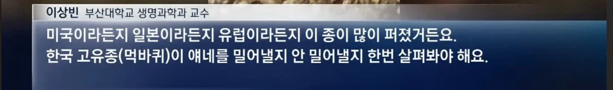 (바퀴사진주의) 어쩌다보니 한국 바퀴벌레를 응원하게 생긴 현재 부산 상황. (9)
