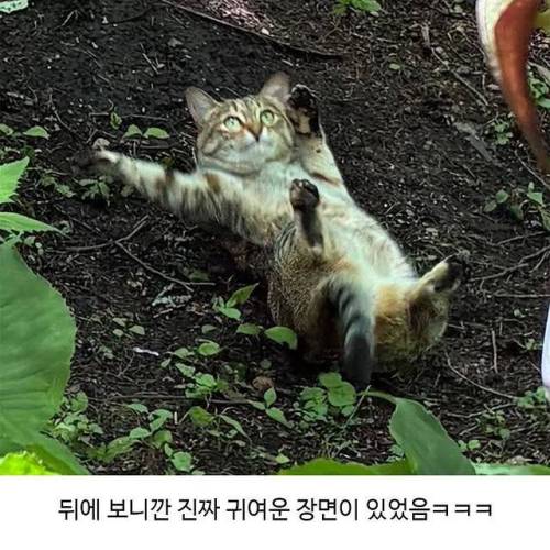할머니가 귀엽다며 보내준 사진