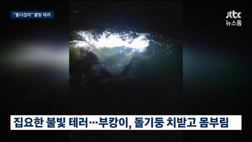 싱글벙글 부캉이 근황 (13)