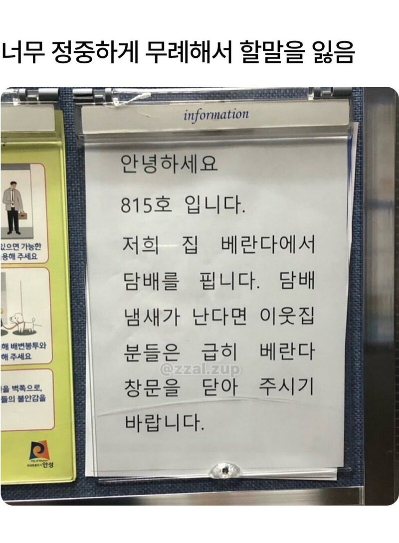05.jpg
