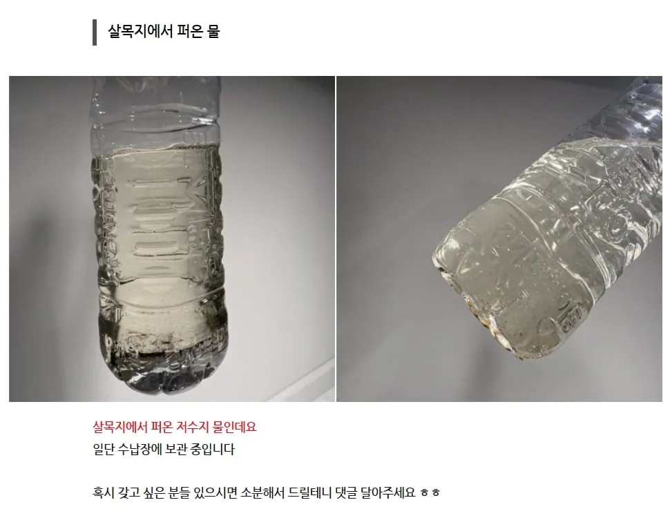요즘 핫플레이스 살목지 찐광기의 후기 ㄷㄷㄷ;;;