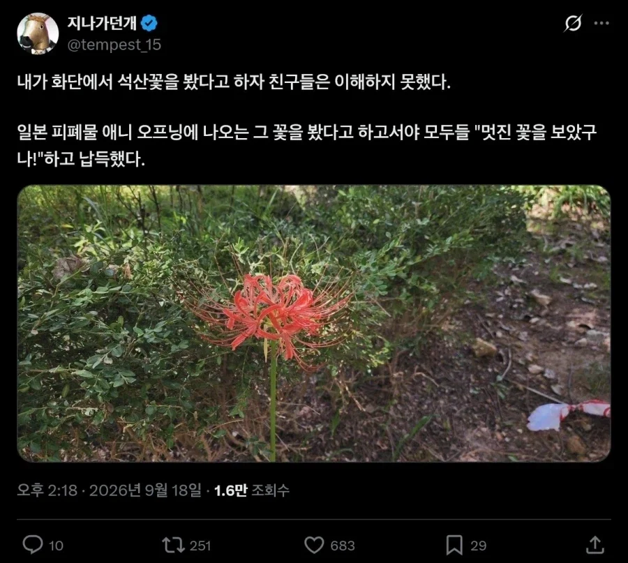 씹덕들에게 유명하지만 이름은 잘 모르는 꽃
