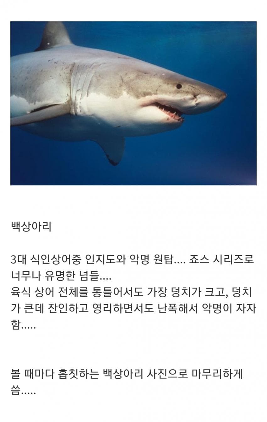 오싹오싹 인지도는 최고 수준인데 정작 알려진 건 거의 없는 생물 (8)
