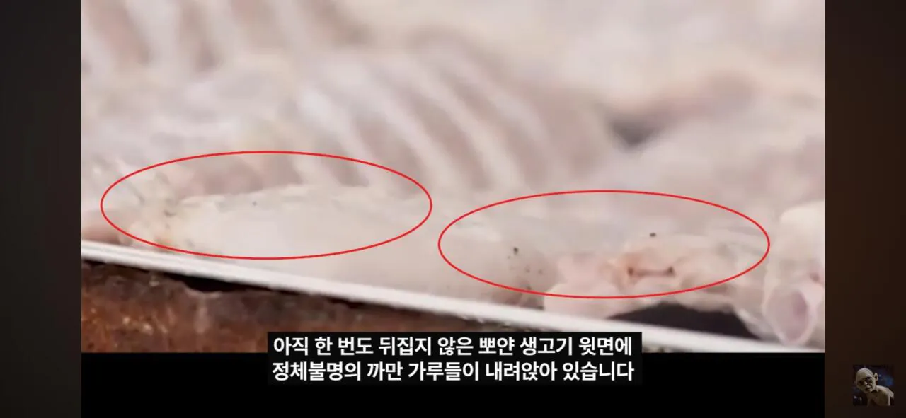 더본코리아 고소에 무혐의 유튜버 '탐코'가 말하는 백종원과 위생 (7)