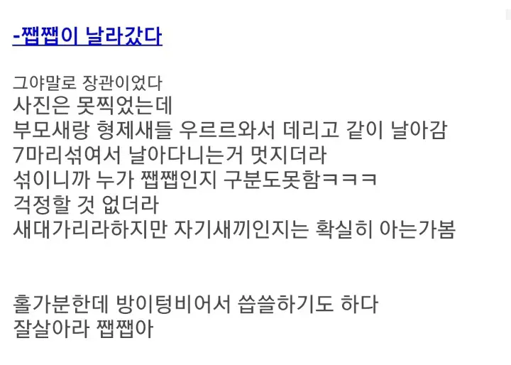 [스압] 주운 제비 키워 방사한 현대판 흥부 아재 (4)