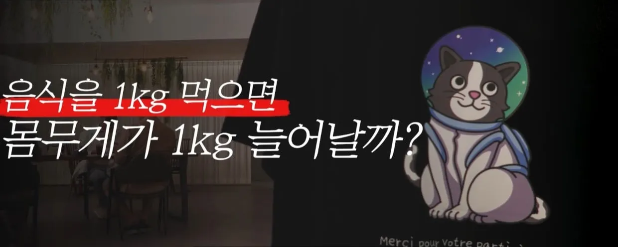 음식을 먹으면 그대로 몸무게가 늘어날까?