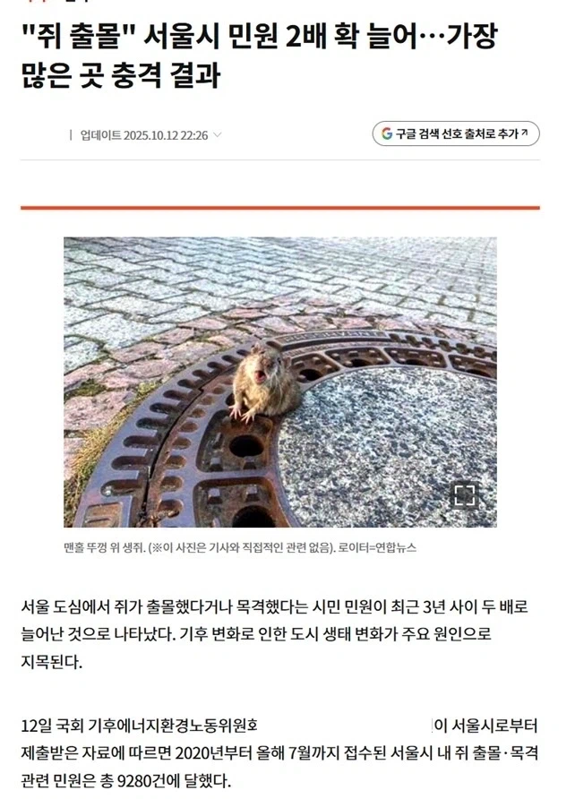 '쥐 많아졌는데' 베글들을 새덕후 토론처럼 바라본다면?_1.webp