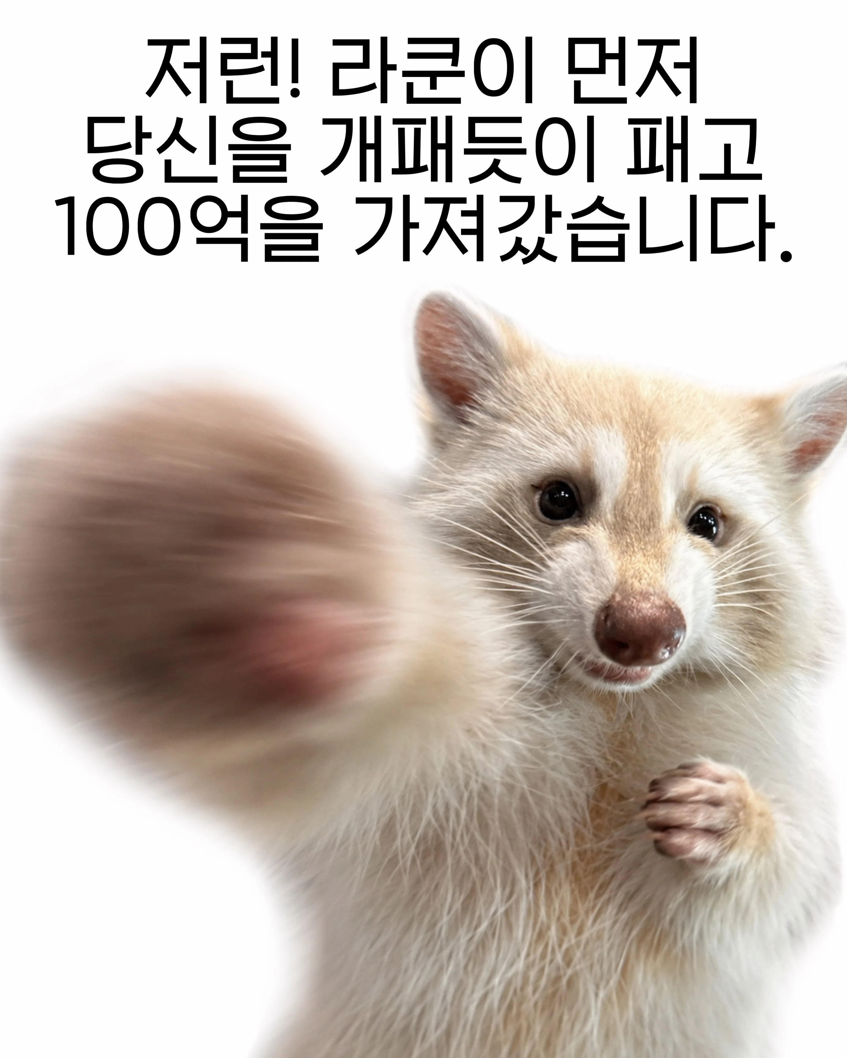 라쿤을 한대 떄릴 때마다 10억 (2)