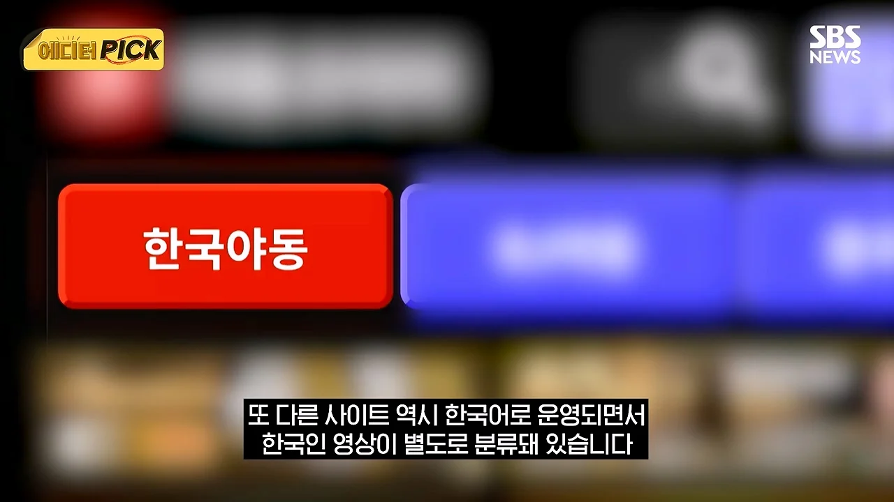 한국 야동사이트 해킹해서 사이트 폐쇄까지 고려하고있다는 한국 정부 (3)