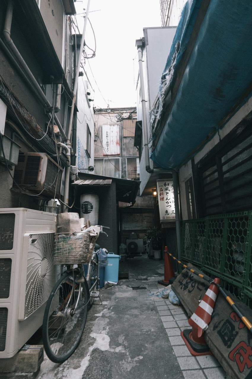 v1이랑 x100v로 찍은 사진인데 평가 좀 부탁드립니다 (14)