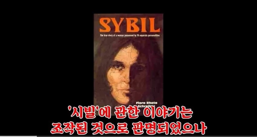해리성 정체성 장애 (8)