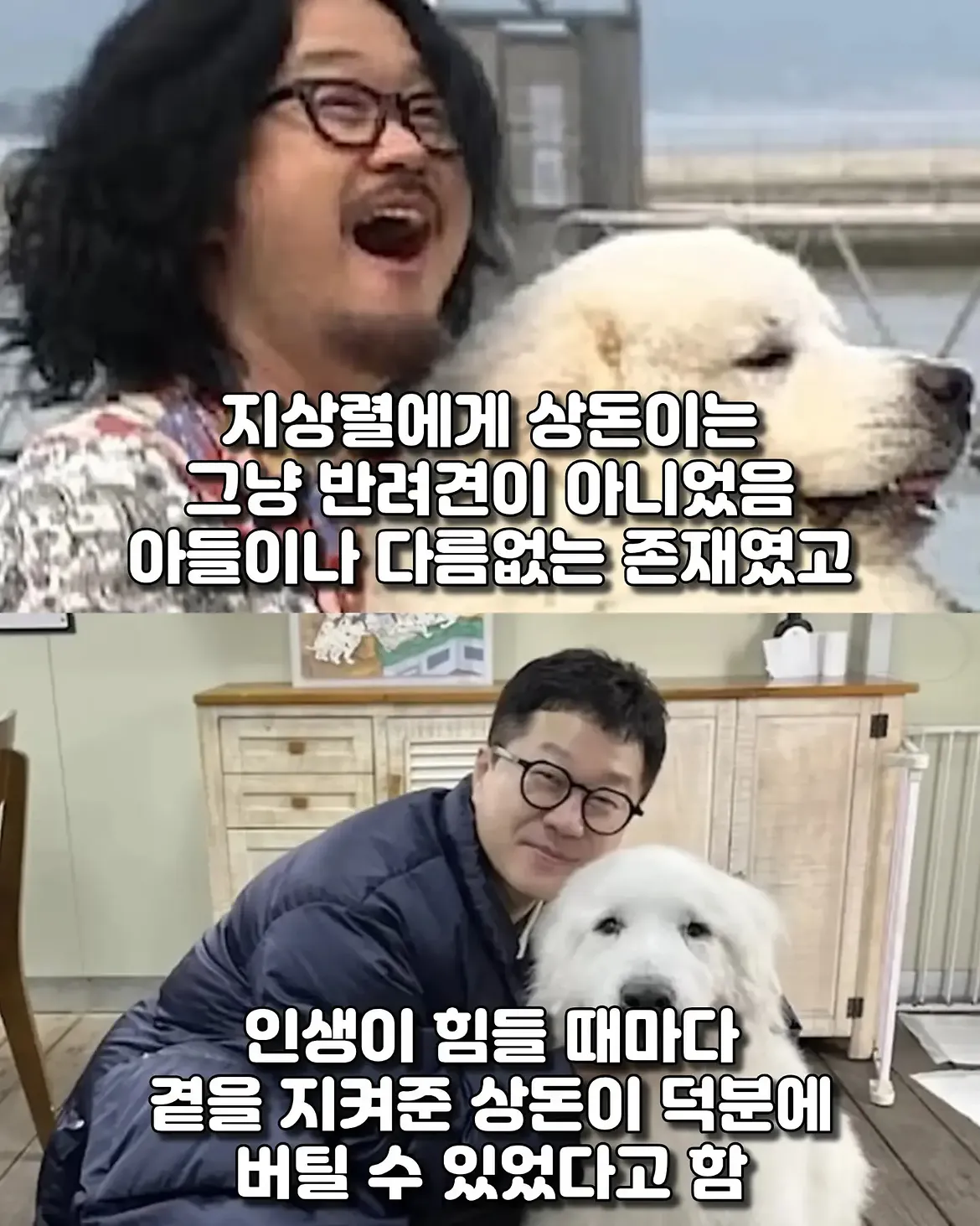 싱글벙글 17년동안 고마웠어요 힘겹게 버티던 댕댕이가 마지막까지 기다 (5)