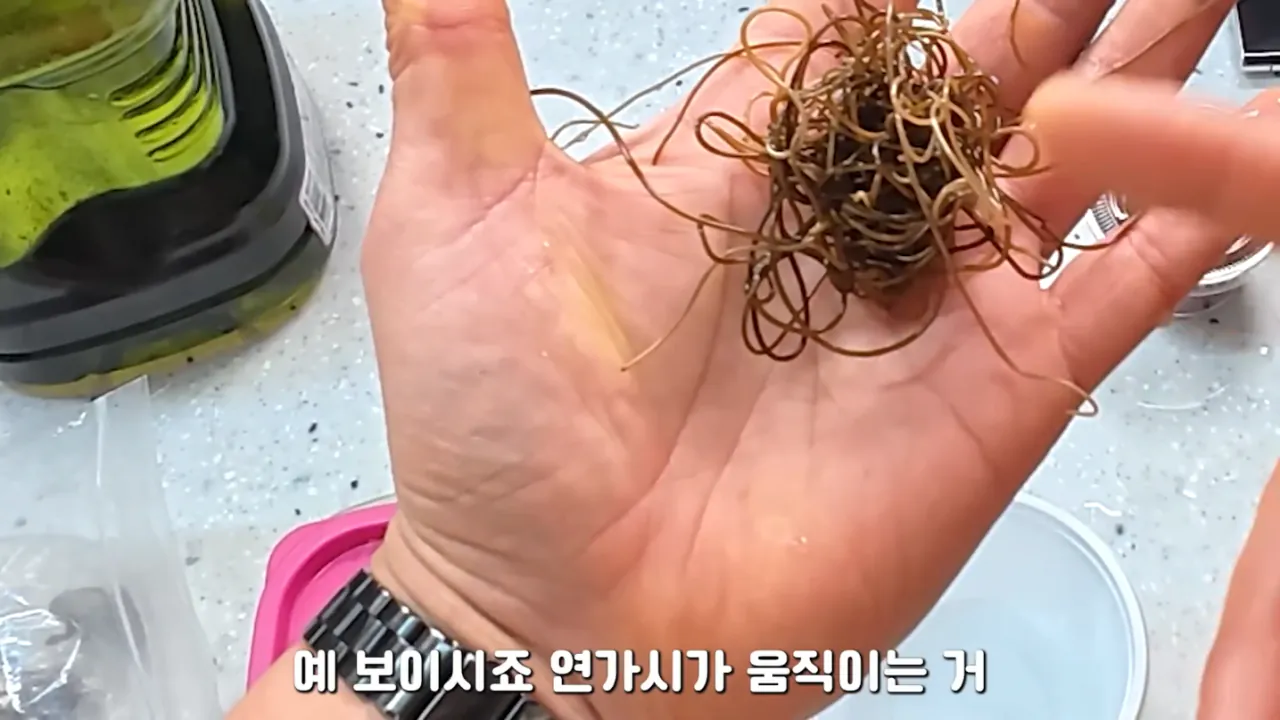 혐)연가시로 두쫀쿠만들어먹기 (3)