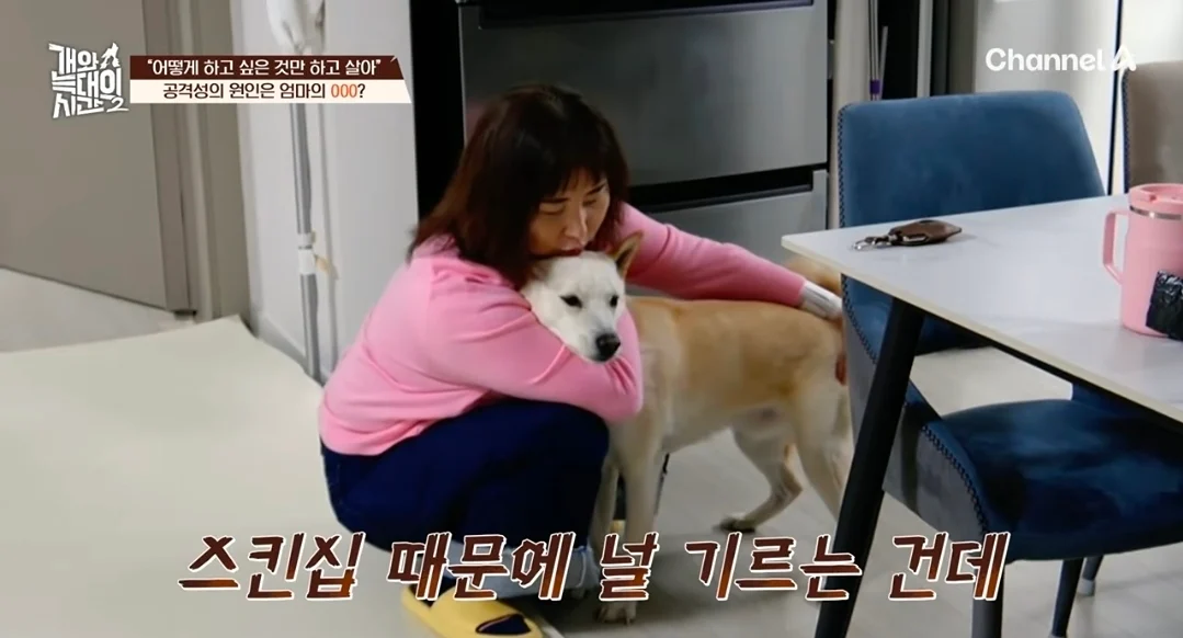 개늑시에 나오는 문제견 견주 특징 (23)
