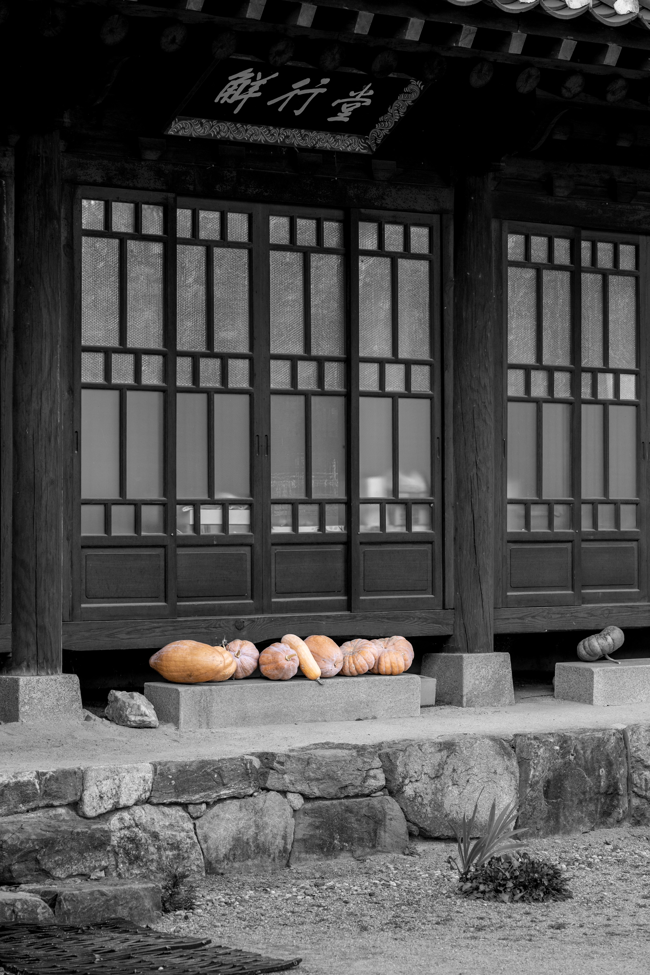 진천 보탑사 다녀왔음.webp (34pic) (18)