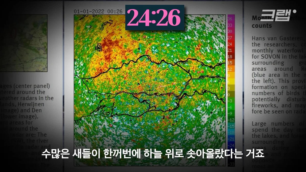 새들에겐 거의 전쟁난 수준이라는 불꽃축제 (27)