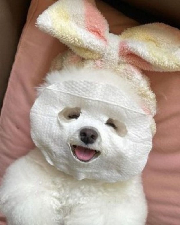 TXetFK